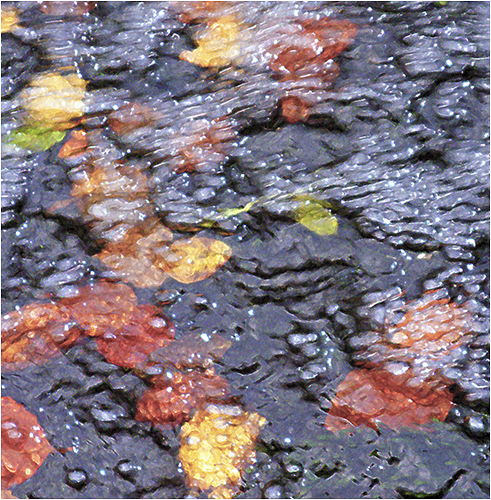 C Autumn Flood  Richard Jones
