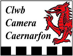 Download a copy of the poster