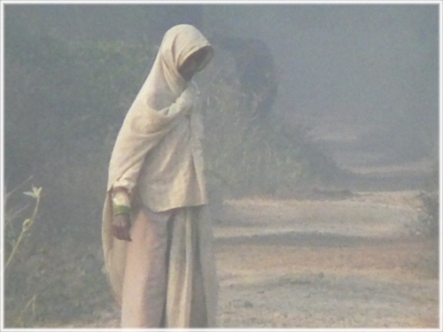 1 Early Morning, Bharatpur  Theresa Salmon-Dillworth