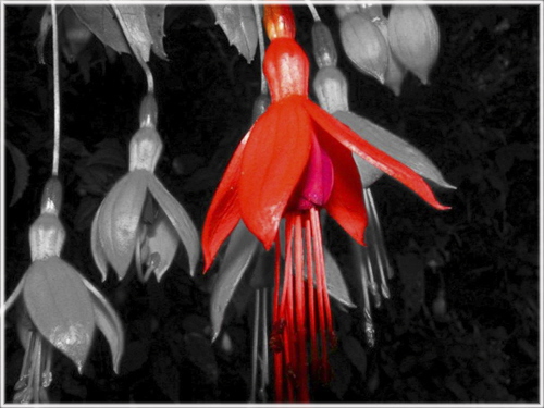 2 Centre Of Attention - Michelle Simmons