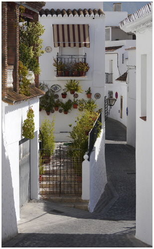 3 Brenda Jones - Spanish Alley 3 Brenda Jones - Spanish Alley