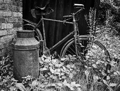 HC: Cast Aside - Ronnie Williams