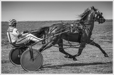 HC Trotting - Sian Davies